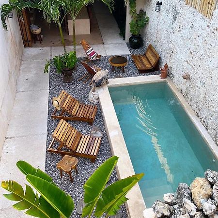 Bajo Las Hojas Campeche Bagian luar foto